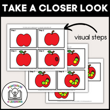 Load image into Gallery viewer, Apple Cut and Paste Craft with Visual Directions