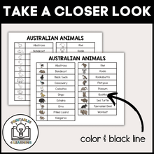 Load image into Gallery viewer, product image for the printable who am I headbands game that shows the australian animal vocabulary list.