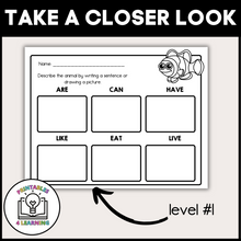 Load image into Gallery viewer, Clownfish Animal Study for Kids