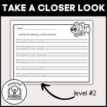 Load image into Gallery viewer, Clownfish Animal Study for Kids