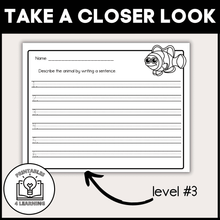 Load image into Gallery viewer, Clownfish Animal Study for Kids