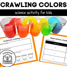 Load image into Gallery viewer, Crawling Colors Science Experiment: Capillary Action Color Mixing