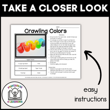 Load image into Gallery viewer, Crawling Colors Science Experiment: Capillary Action Color Mixing