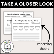 Load image into Gallery viewer, Crawling Colors Science Experiment: Capillary Action Color Mixing