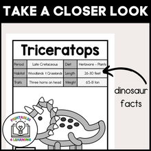 Load image into Gallery viewer, Dinosaur Playdough Mats