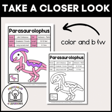 Load image into Gallery viewer, Dinosaur Playdough Mats