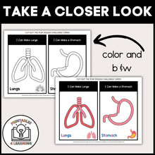 Load image into Gallery viewer, Human Anatomy Playdough Task Cards