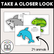 Load image into Gallery viewer, Ocean Lacing Cards