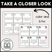 Load image into Gallery viewer, Pirate Writing and Drawing Prompts for Kids