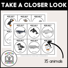 Load image into Gallery viewer, Who Am I? Headbands Game - Polar Animals Edition