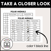 Load image into Gallery viewer, Who Am I? Headbands Game - Polar Animals Edition