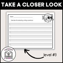 Load image into Gallery viewer, Pufferfish Animal Study for Kids