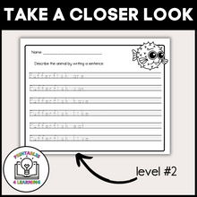 Load image into Gallery viewer, Pufferfish Animal Study for Kids