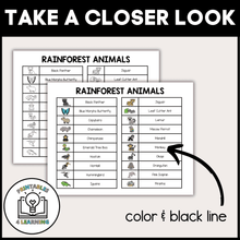 Load image into Gallery viewer, product image of the printable who am I rainforest animal headbands game that shows the vocabulary list included in the PDF.