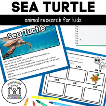Load image into Gallery viewer, Sea Turtle Animal Study for Kids