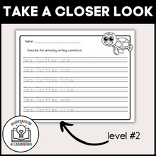 Load image into Gallery viewer, Sea Turtle Animal Study for Kids