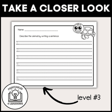 Load image into Gallery viewer, Sea Turtle Animal Study for Kids