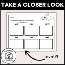 Load image into Gallery viewer, Shark Animal Study for Kids