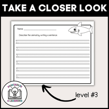 Load image into Gallery viewer, Shark Animal Study for Kids