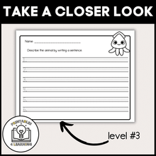 Load image into Gallery viewer, Squid Animal Study for Kids