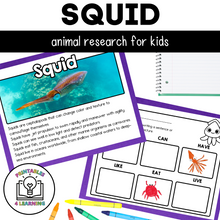 Load image into Gallery viewer, Squid Animal Study for Kids