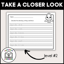 Load image into Gallery viewer, Squid Animal Study for Kids