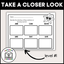 Load image into Gallery viewer, Starfish Animal Study for Kids