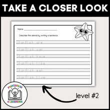 Load image into Gallery viewer, Starfish Animal Study for Kids