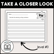 Load image into Gallery viewer, Starfish Animal Study for Kids