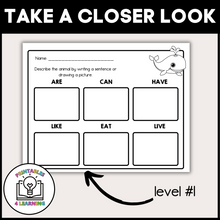 Load image into Gallery viewer, Whale Animal Study for Kids