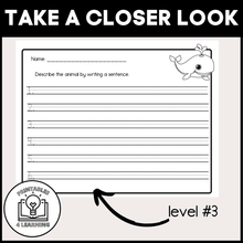 Load image into Gallery viewer, Whale Animal Study for Kids