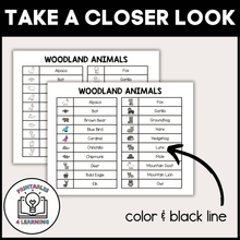 Load image into Gallery viewer, Who Am I? Headbands Game - Woodland Animals Edition