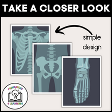 Load image into Gallery viewer, Doctor Pretend Play X-Ray Station