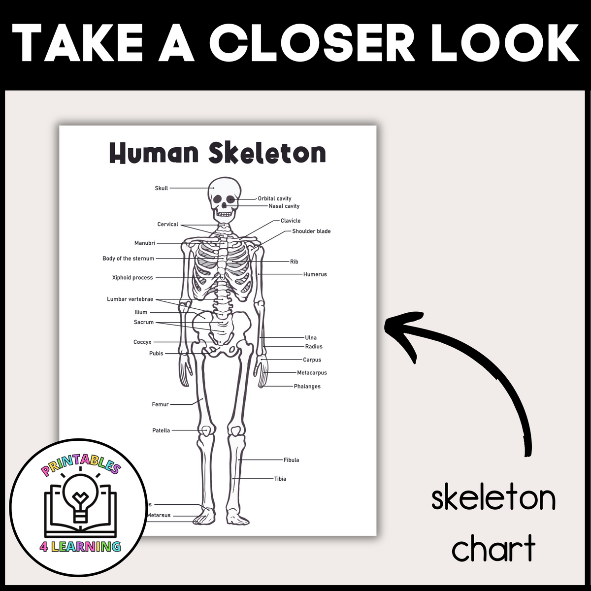 Doctor Pretend Play X-Ray Station – Printables 4 Learning