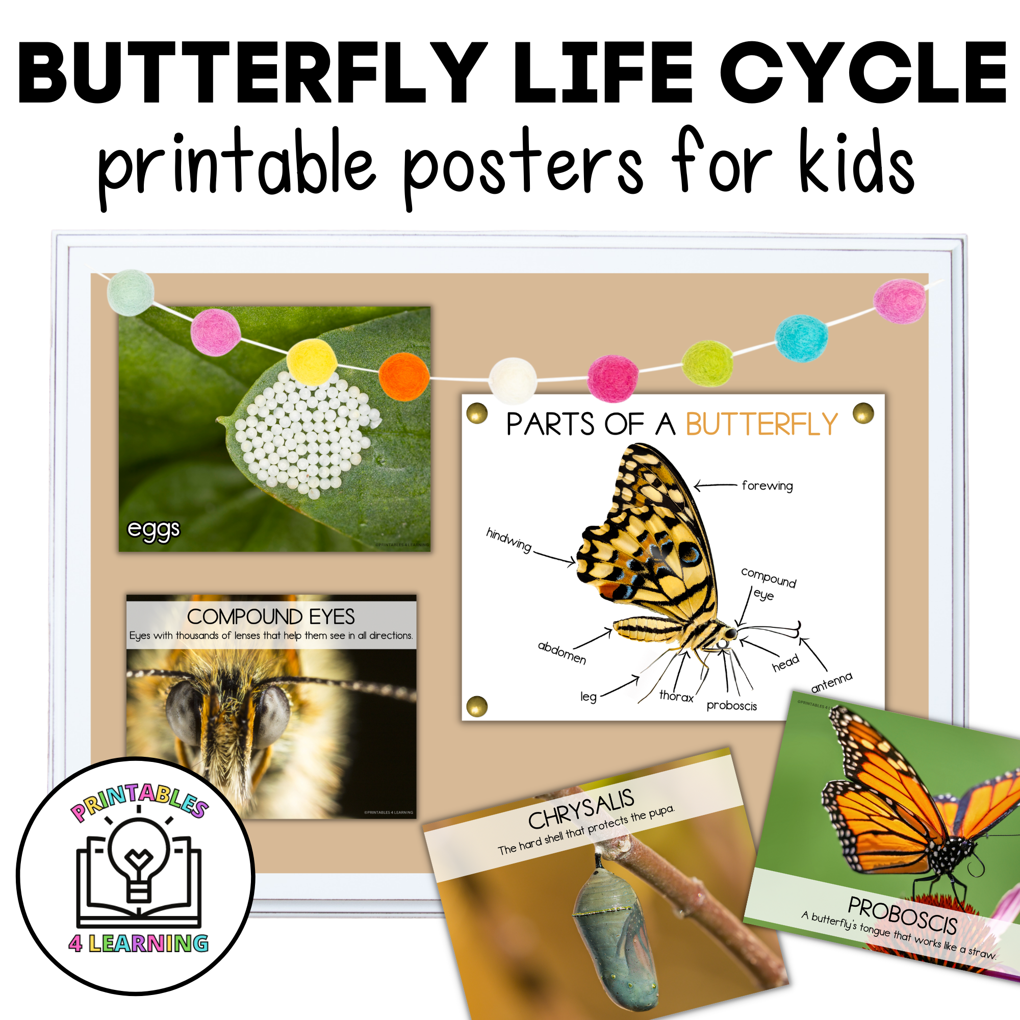 Life Cycle of a Butterfly Playdough Mat - Free Printable - Views