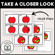 Load image into Gallery viewer, Apple Cut and Paste Craft with Visual Directions
