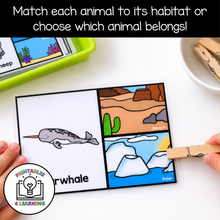 Load image into Gallery viewer, Animal Habitat Clip Cards
