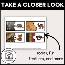 Load image into Gallery viewer, Zoo Animal Pattern Puzzles
