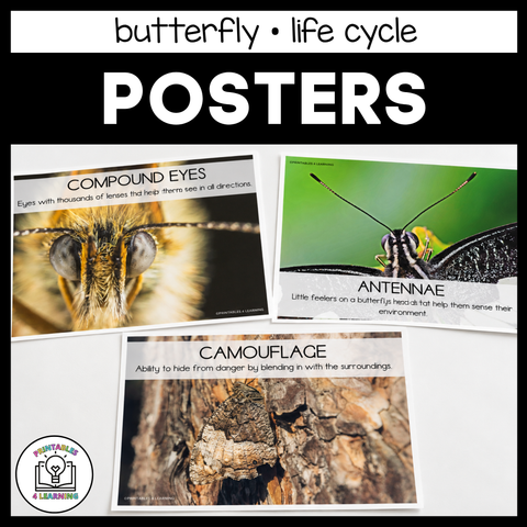 Printable Butterfly Life Cycle Posters
