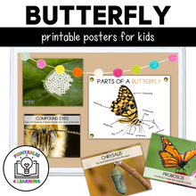 Load image into Gallery viewer, Printable Butterfly Life Cycle Posters
