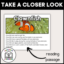 Load image into Gallery viewer, Clownfish Animal Study for Kids
