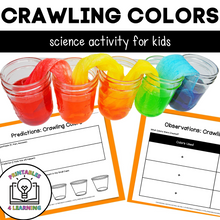 Load image into Gallery viewer, Crawling Colors Science Experiment: Capillary Action Color Mixing
