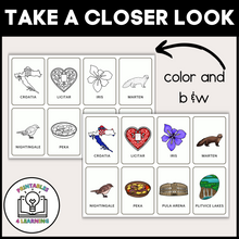 Load image into Gallery viewer, Croatia Color and Trace Book for Kids
