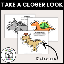 Load image into Gallery viewer, Dinosaur Lacing Cards
