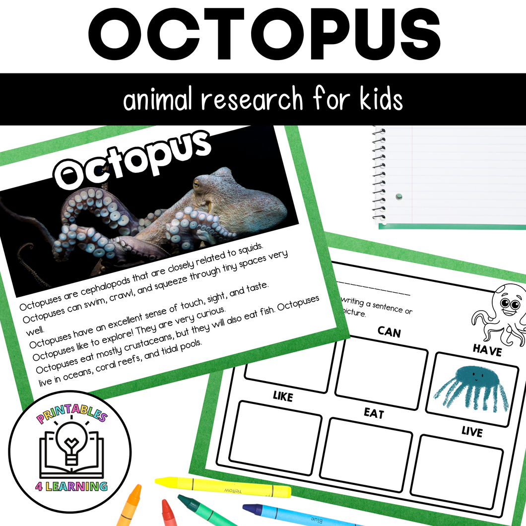 Octopus Animal Study for Kids