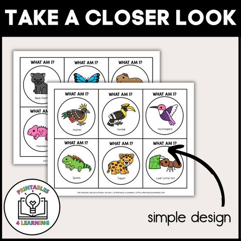 product image of the who am I headbands game rainforest animal edition that shows the simple design.