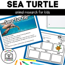 Load image into Gallery viewer, Sea Turtle Animal Study for Kids
