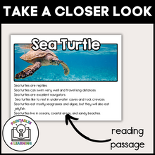 Load image into Gallery viewer, Sea Turtle Animal Study for Kids
