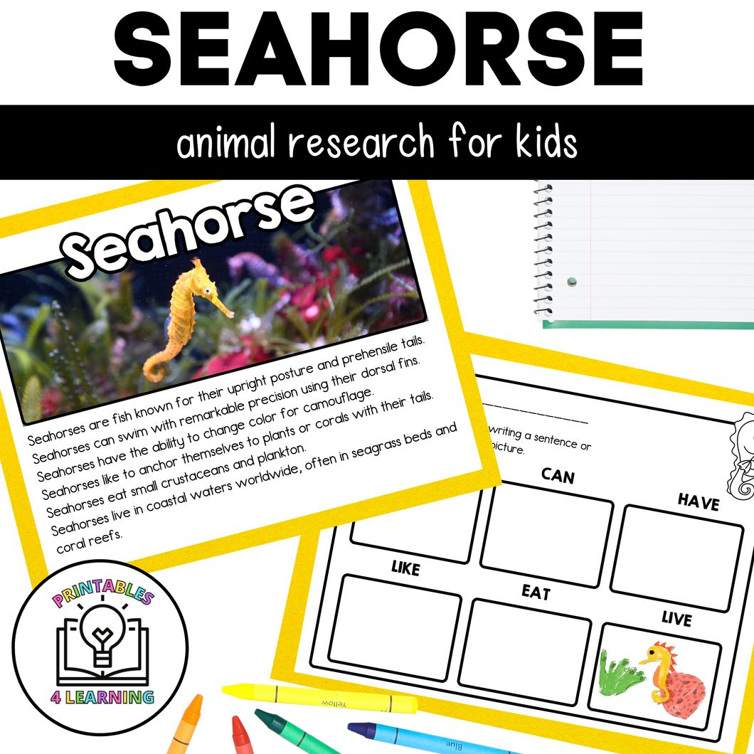 Seahorse Animal Study for Kids