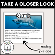 Load image into Gallery viewer, Shark Animal Study for Kids
